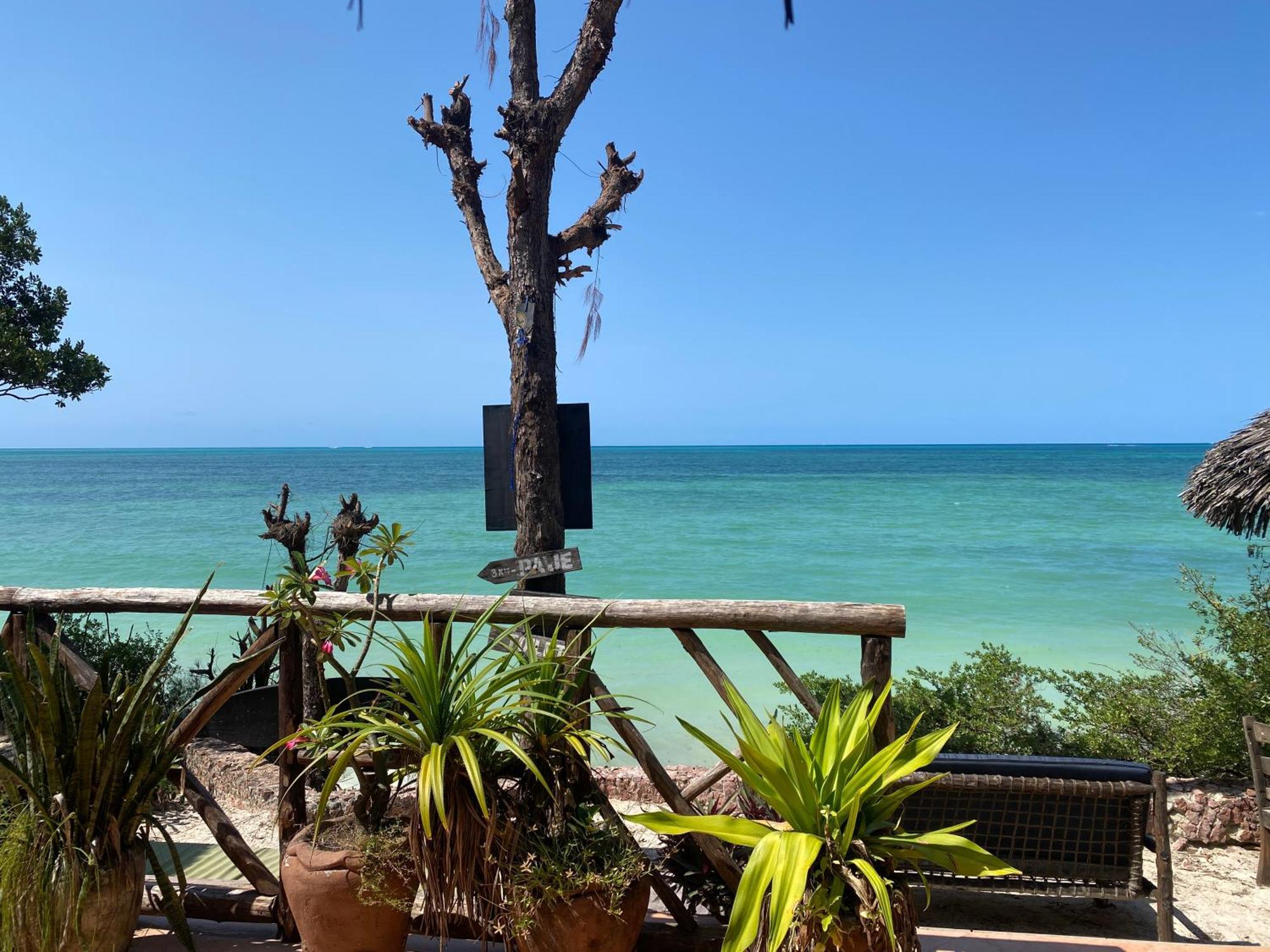Mbuyuni Beach Village Jambiani (Zanzibar) Exterior foto